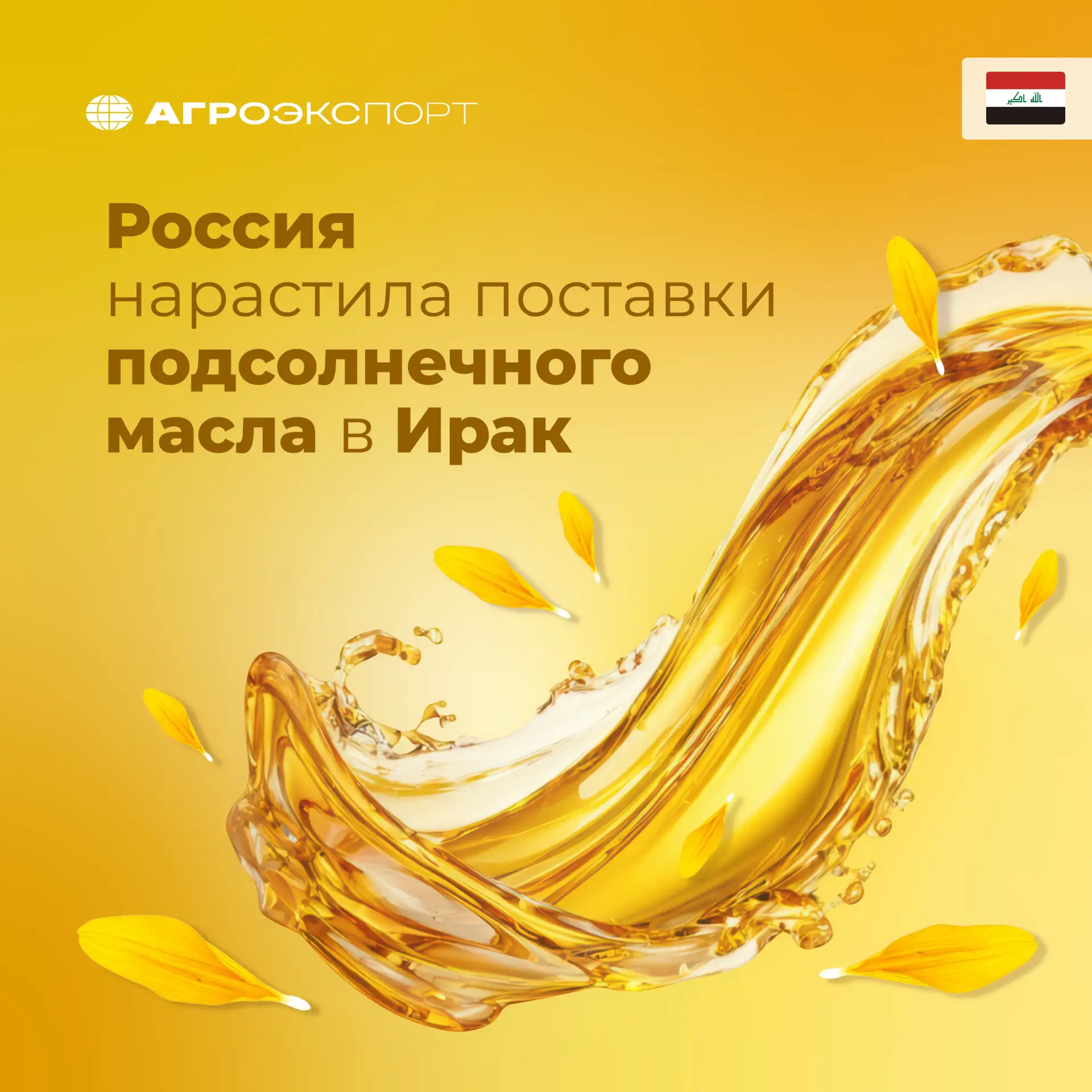Россия нарастила поставки подсолнечного масла в Ирак

Согласно оценкам экспертов, за январь—май 2026
