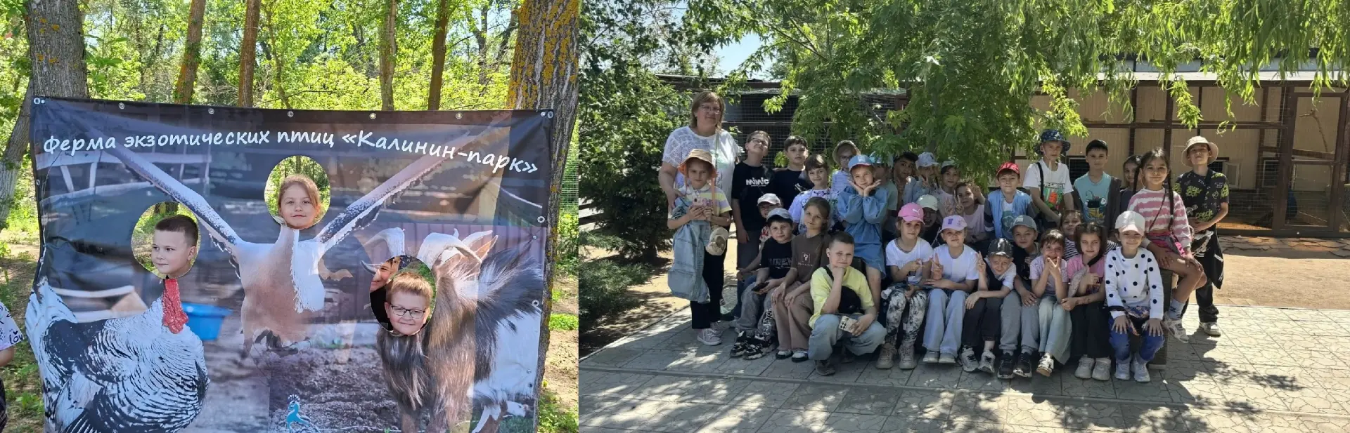 В 1а классе (Заболотнева Е.И.)состоялся выездной урок на ферму экзотических птиц в "Калинин - парк".