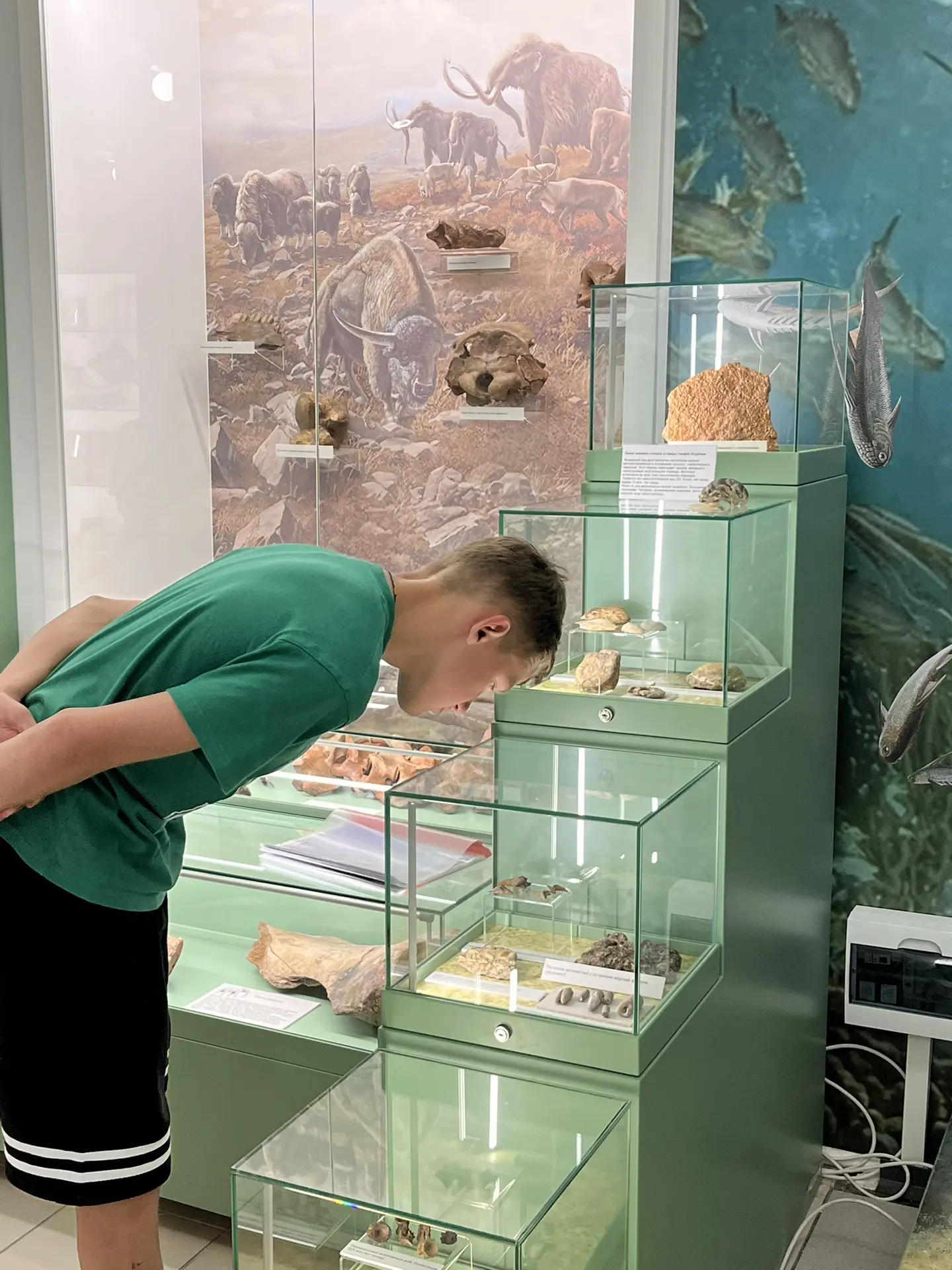 День Каспия — экологический праздник, который ежегодно напоминает о важности сохранения...