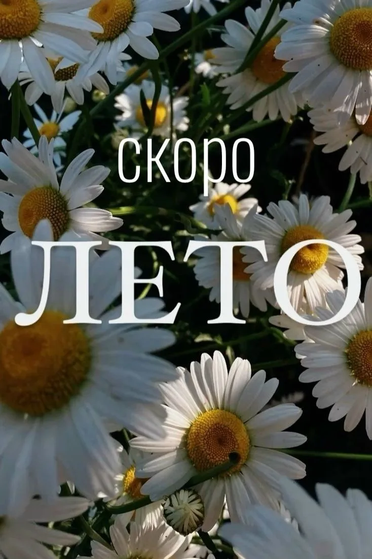 Майские праздники позади — а впереди один из самых напряжённых отрезков учебного года.