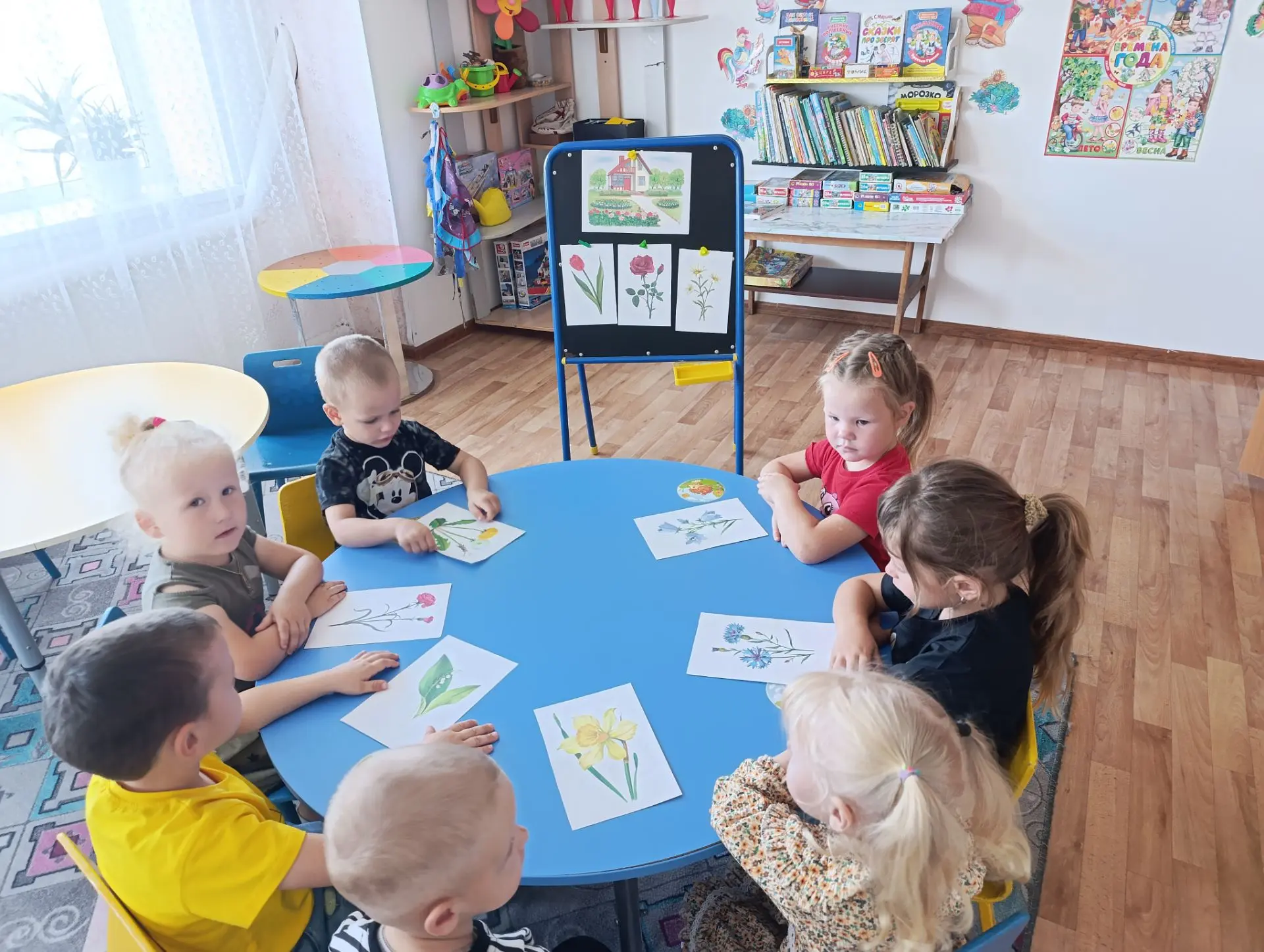 Ознакомление с окружающим, в средней и младшей группах, знакомство с цветами какие они ...