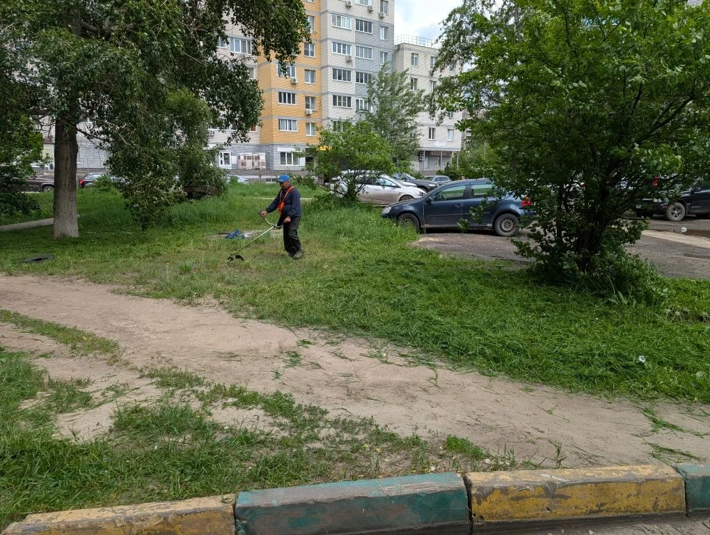 🌿 В летний период уделяем особое внимание благоустройству придомовых территорий: регулярно проводим 