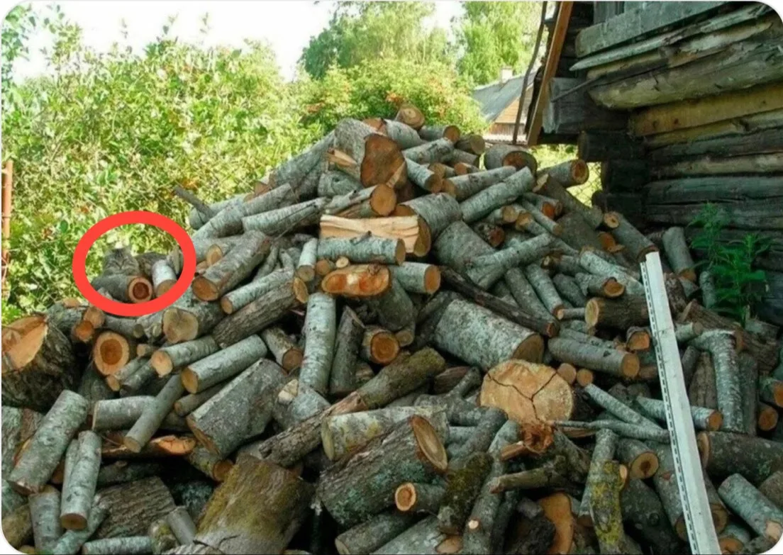 Вот котик, кто не нашел🤗