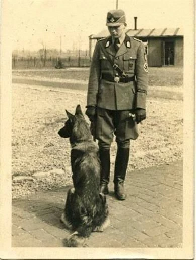 Рейхскомиссариат "Украина": 1941/2026 гг.
