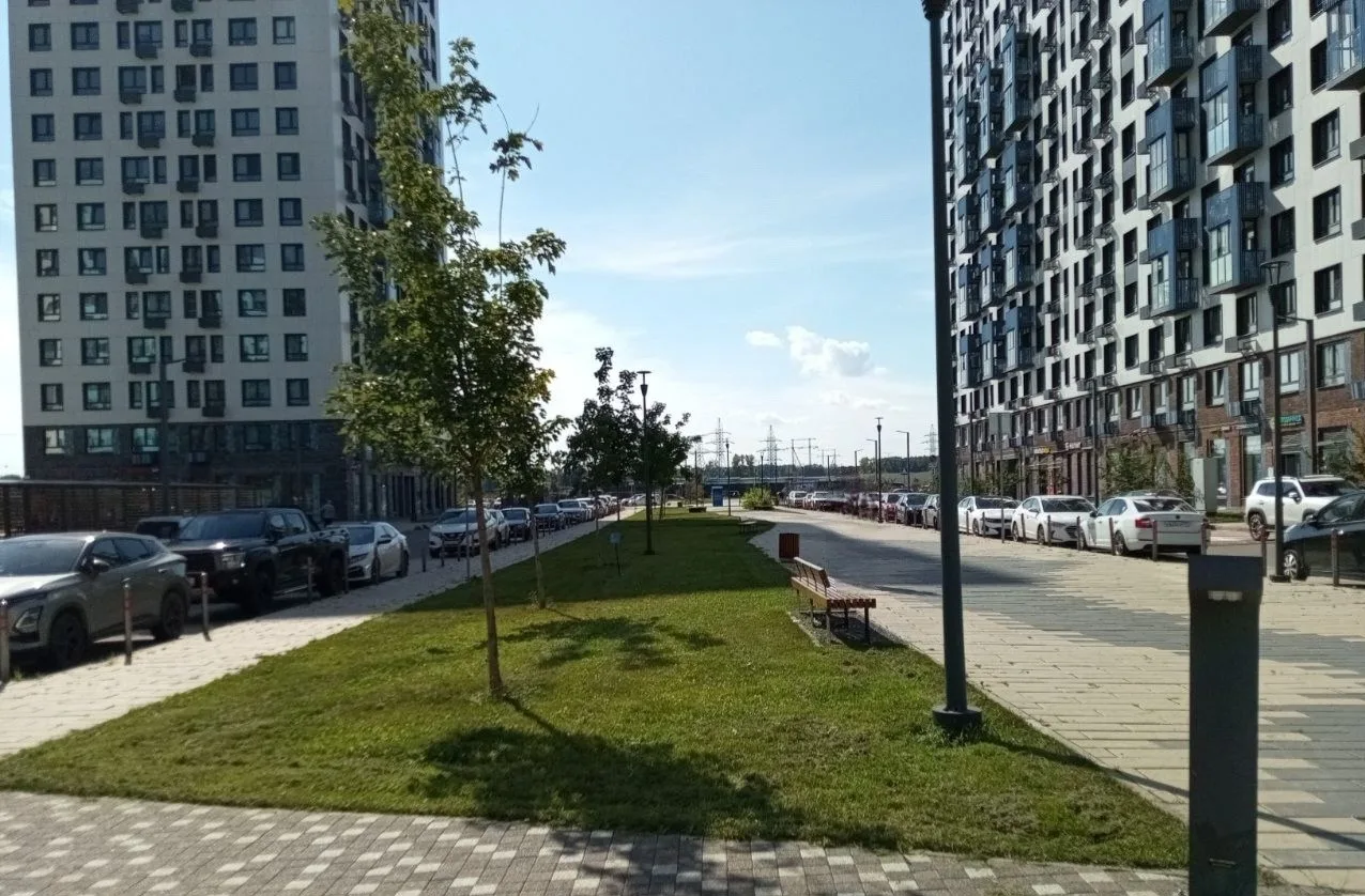Никак не могу принять факт, что пришла осень) видимо пока всё еще в зелени, мой мозг бу...