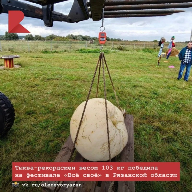 🎃 На фестивале «Всё своё» победителем стала тыква весом 103 кг, выращенная семьёй Ершо...