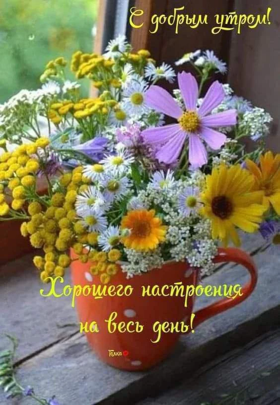 Пусть этот день пройдёт в радости и легкости!.