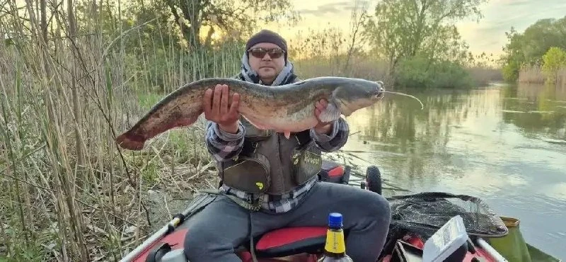 Сомик не прекращает ловиться! 💪🎣

💬Комментарии