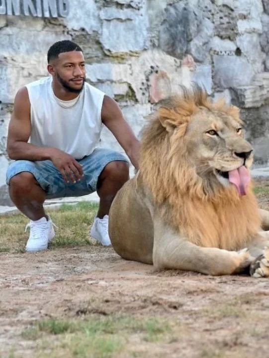 Что за тигр этот лев? 🦁