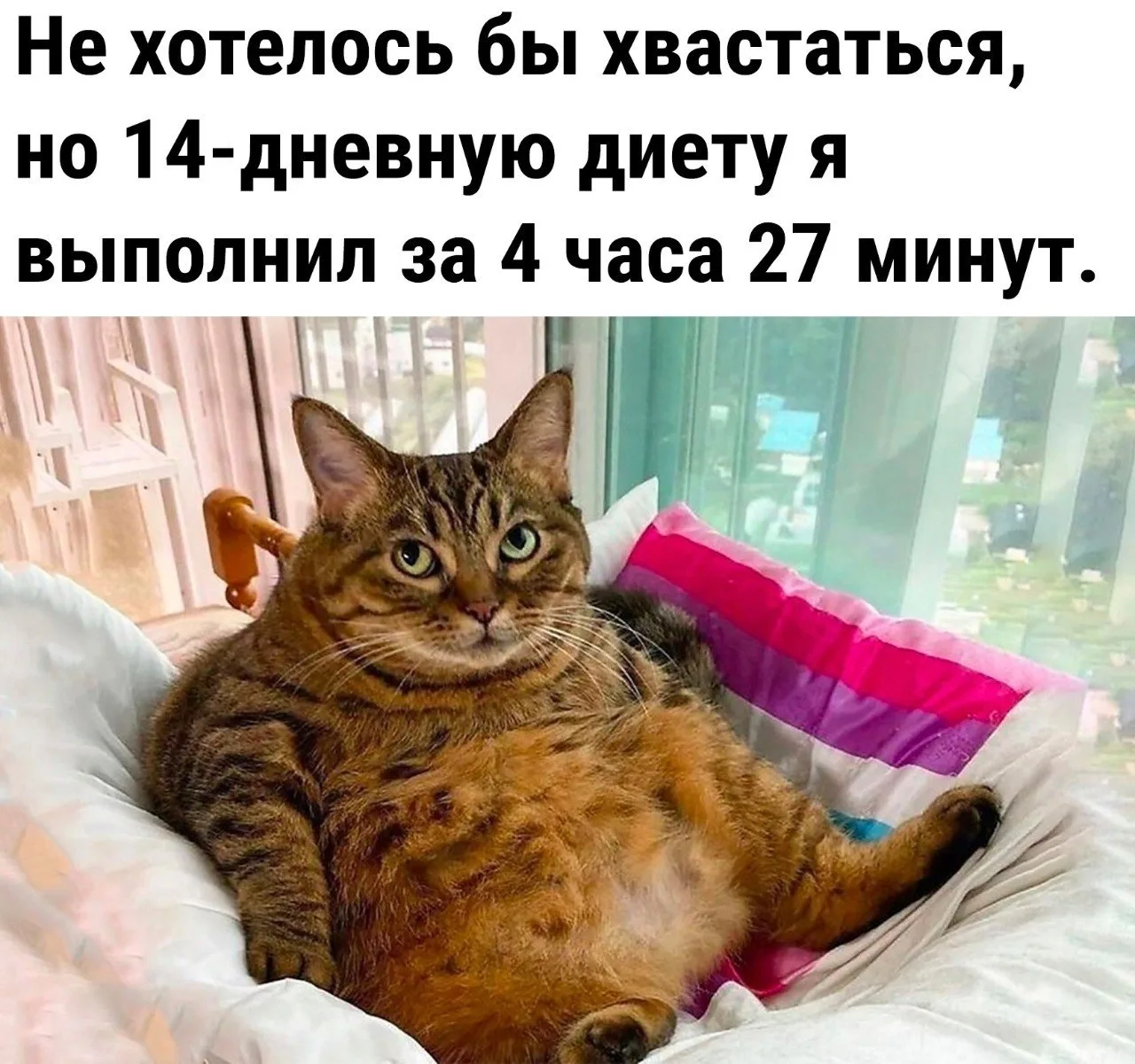 🔹 Чуть погодя готов приступать к следующей 😄

ЮМОР 360° в MAX   |  TG