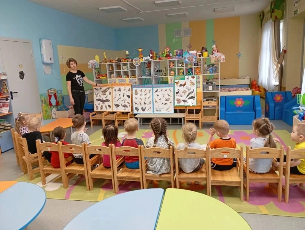 #МБДОУДетскийсадРомашка