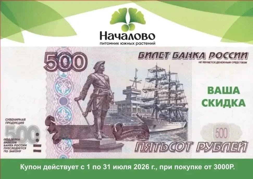 Сегодня последний день нашей акции на сборку и доставку онлайн-заказов 🤗, А так же последний день, 