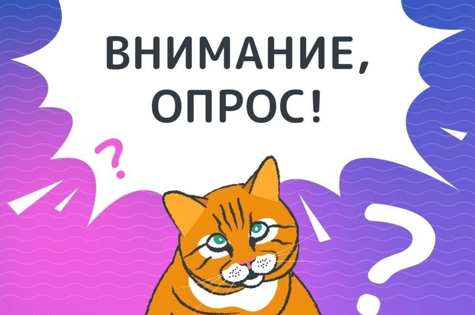 Проводим опрос на нашей странице в ВК — примите участие!