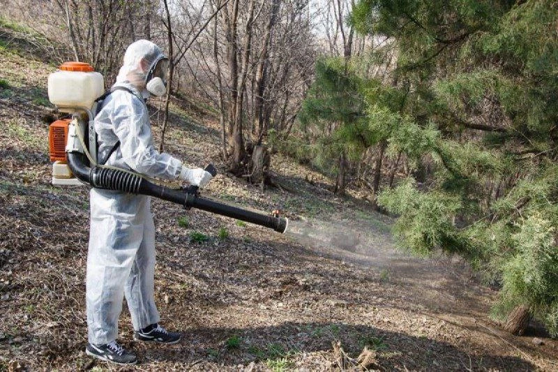 🕷️ В Костроме проведут второй этап обработки территорий от клещей. Он начнется с 24 ав...