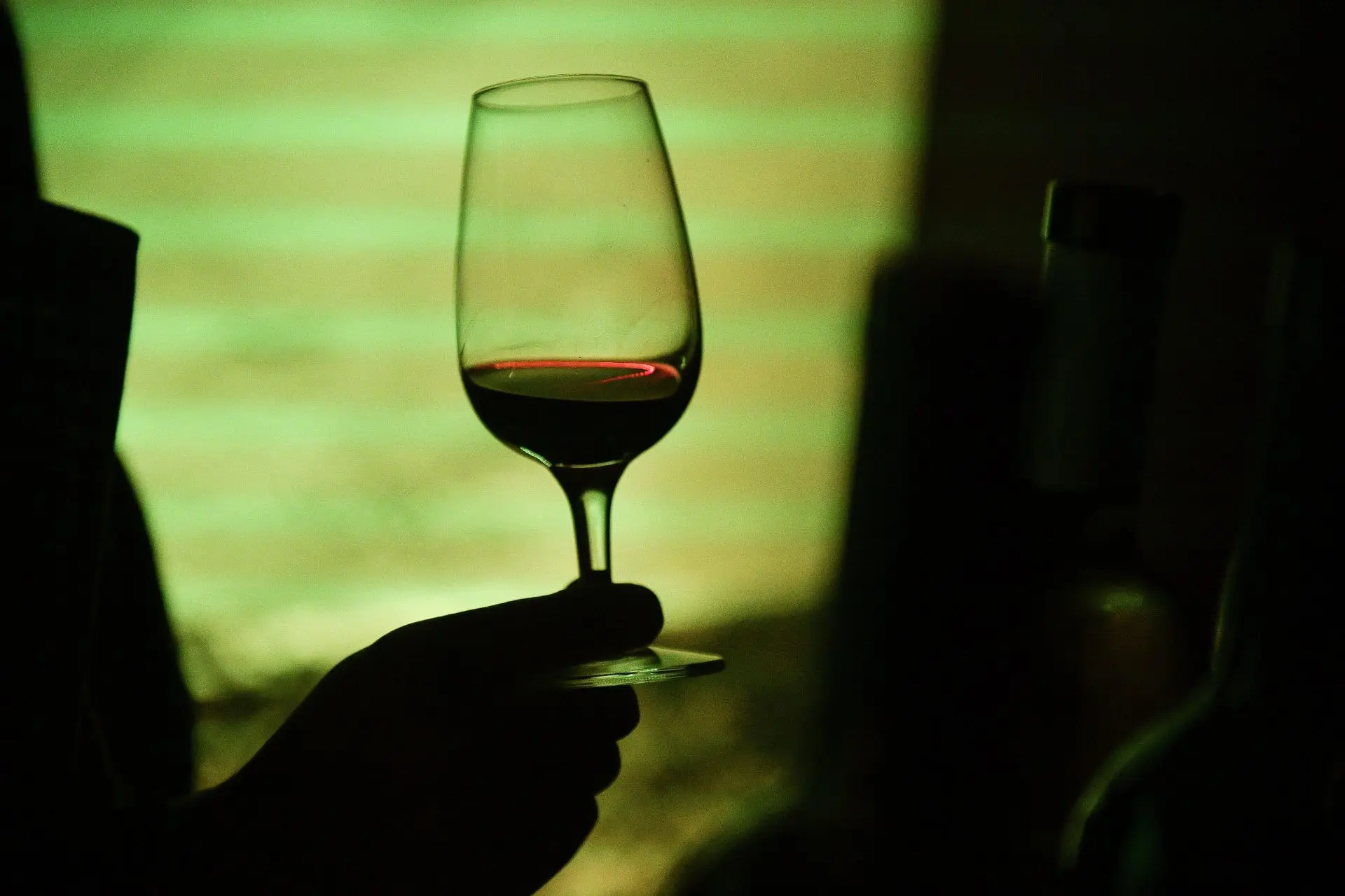 🍷Роскачество назвало лучшие вина сорта пино-нуар.