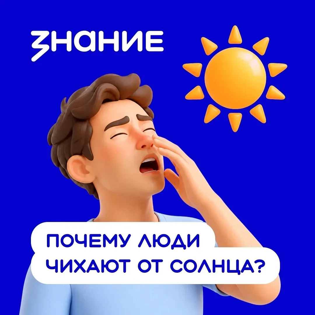 ☀️ Вы когда-нибудь замечали, что стоит выйти из тёмного помещения на яркое солнце — и в...