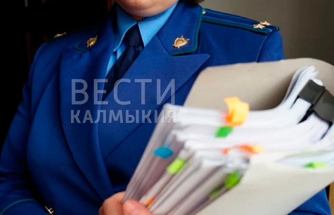 Прокуратура добилась выплаты для матери погибшего бойца СВО

Проверка проведена в Ики-Бурульском рай