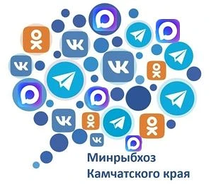 Информационные ресурсы Минрыбхоза Камчатского края в сети Интернет: