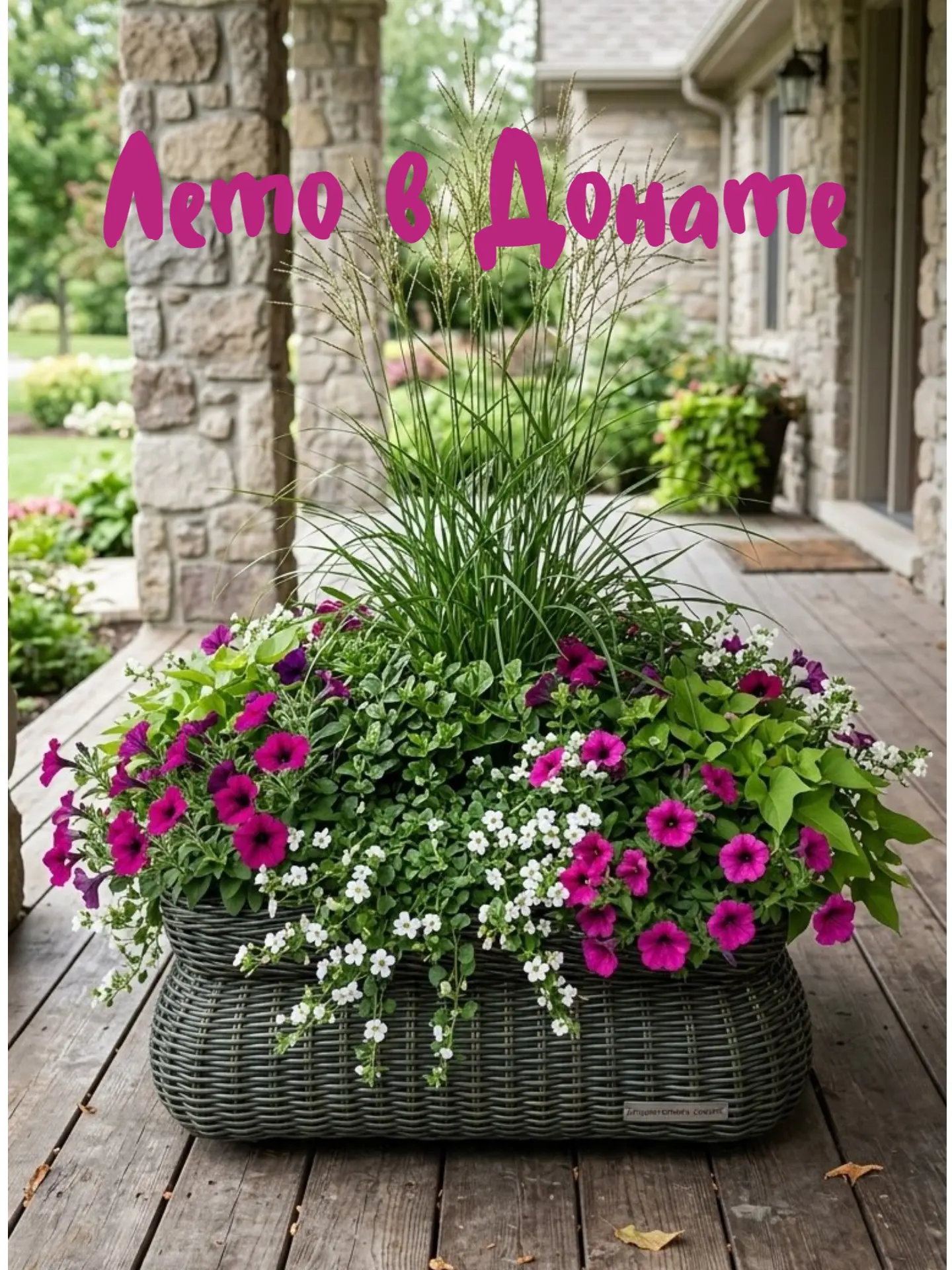 А у нас уже Лето в Донате 🌸