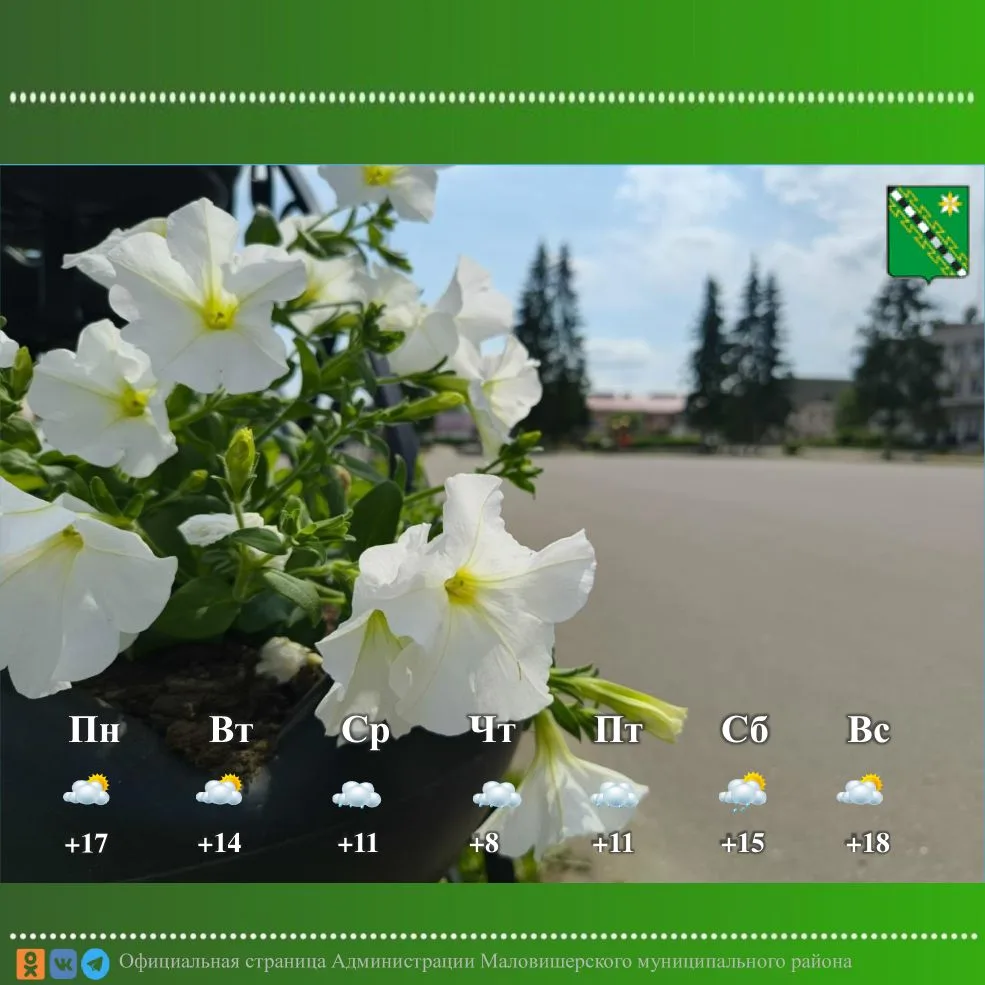 Доброе утро☀