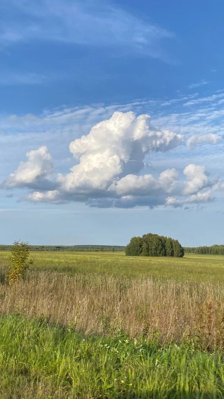 Лето прощай! Запрыгиваем в сентябрь