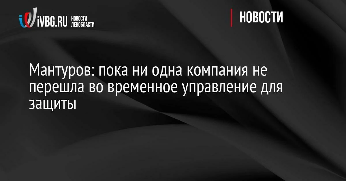 Мантуров: пока ни одна компания не перешла во временное управление для защиты