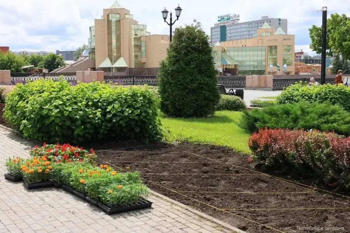 ⚡️💐 Челябинцы массово уничтожают новые городские клумбы

В городе продолжают устанавливать вазоны с