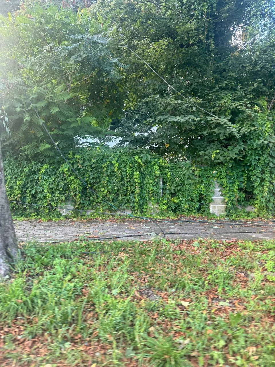 В городе вот так везде валялись провода и деревья, их никто и не убирал даже на следующ...