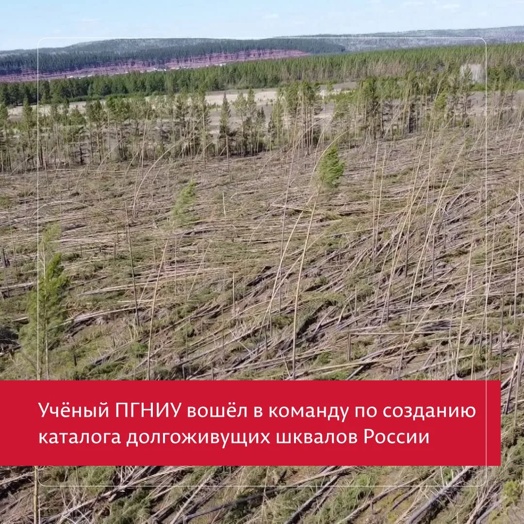 Учёный Пермского университета помог создать первый каталог долгоживущих шквалов в России