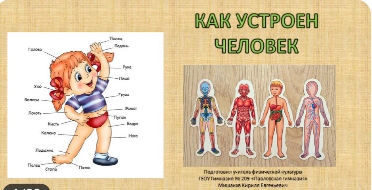 🩺 Как устроен человек? 
Сегодня у ребят прошёл невероятно познавательный и увлекательный день.
Вмес