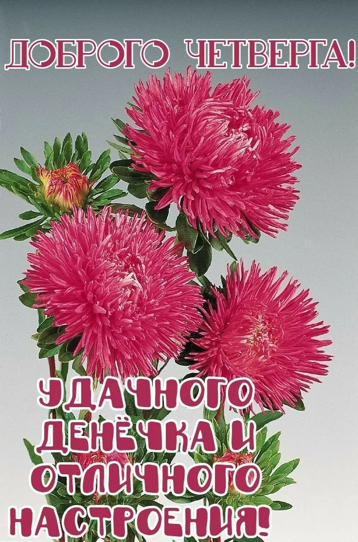 Открытки и поздравления — Подписывайся!