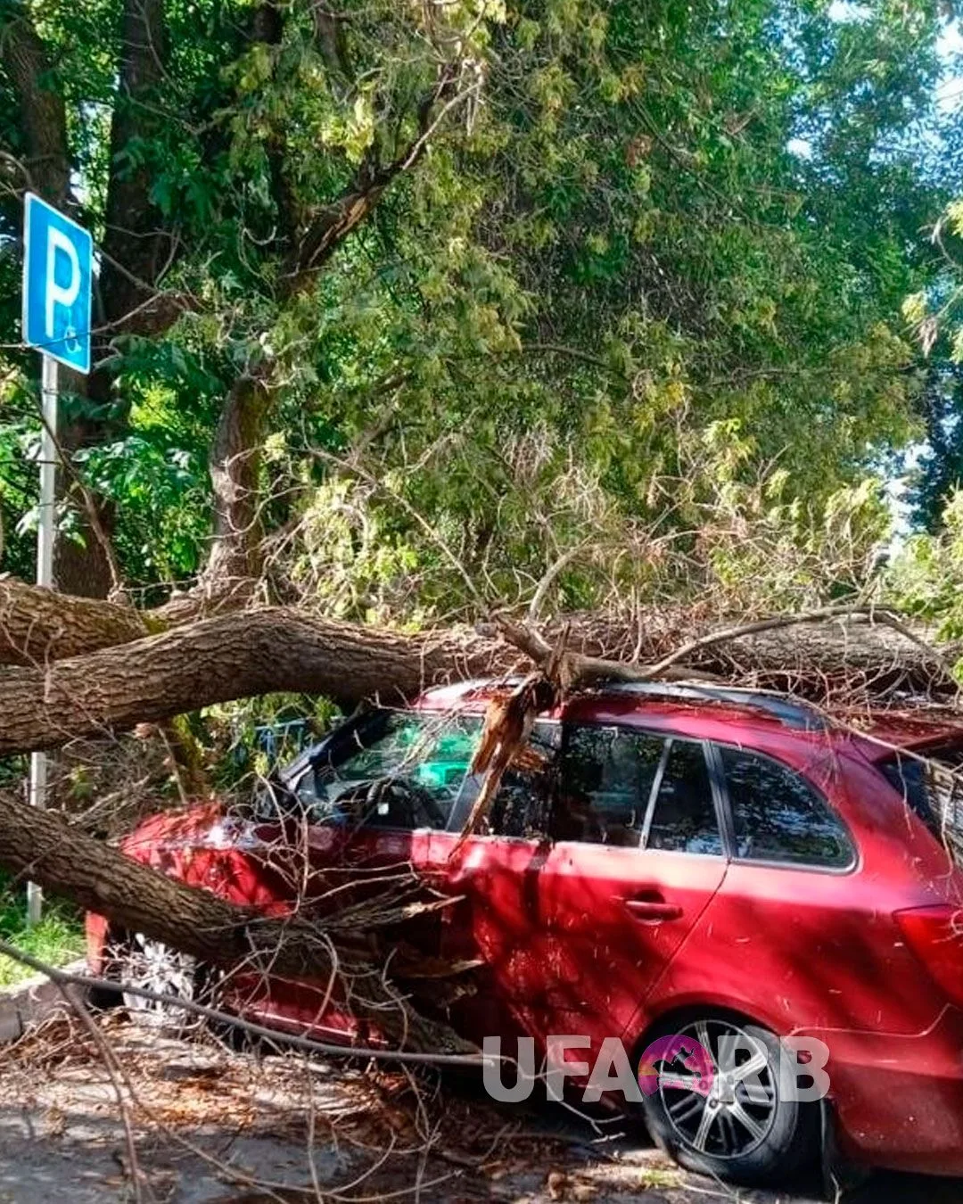 автор: По всему кварталу, по ул. Кузнецова, во дворе пр. 117/1, Блюхера 23/2, Блюхера,30 — массовое 