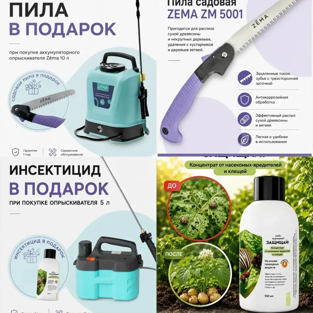 🌿 Недельная закупка от ZEMA уже стартует! 🌿