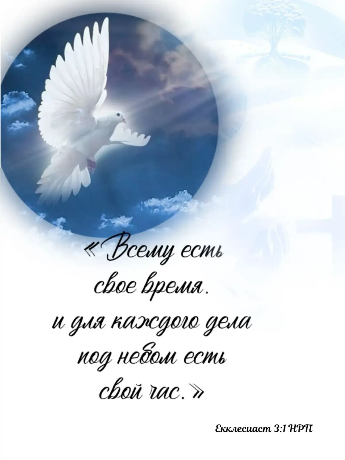 29  июля 
🕊️Сердечно поздравляем с именинами Ивана, Павла, Петра, Федора, Якова, Яна, Алевтину, Вал