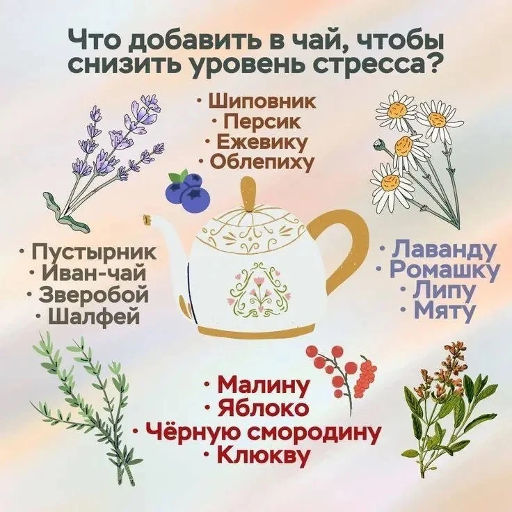 🍵Что добавить в чай, чтобы снизить уровень стресса?