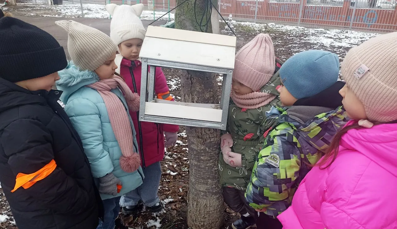 "Трудно птицам зимовать, надо нам их поддержать"