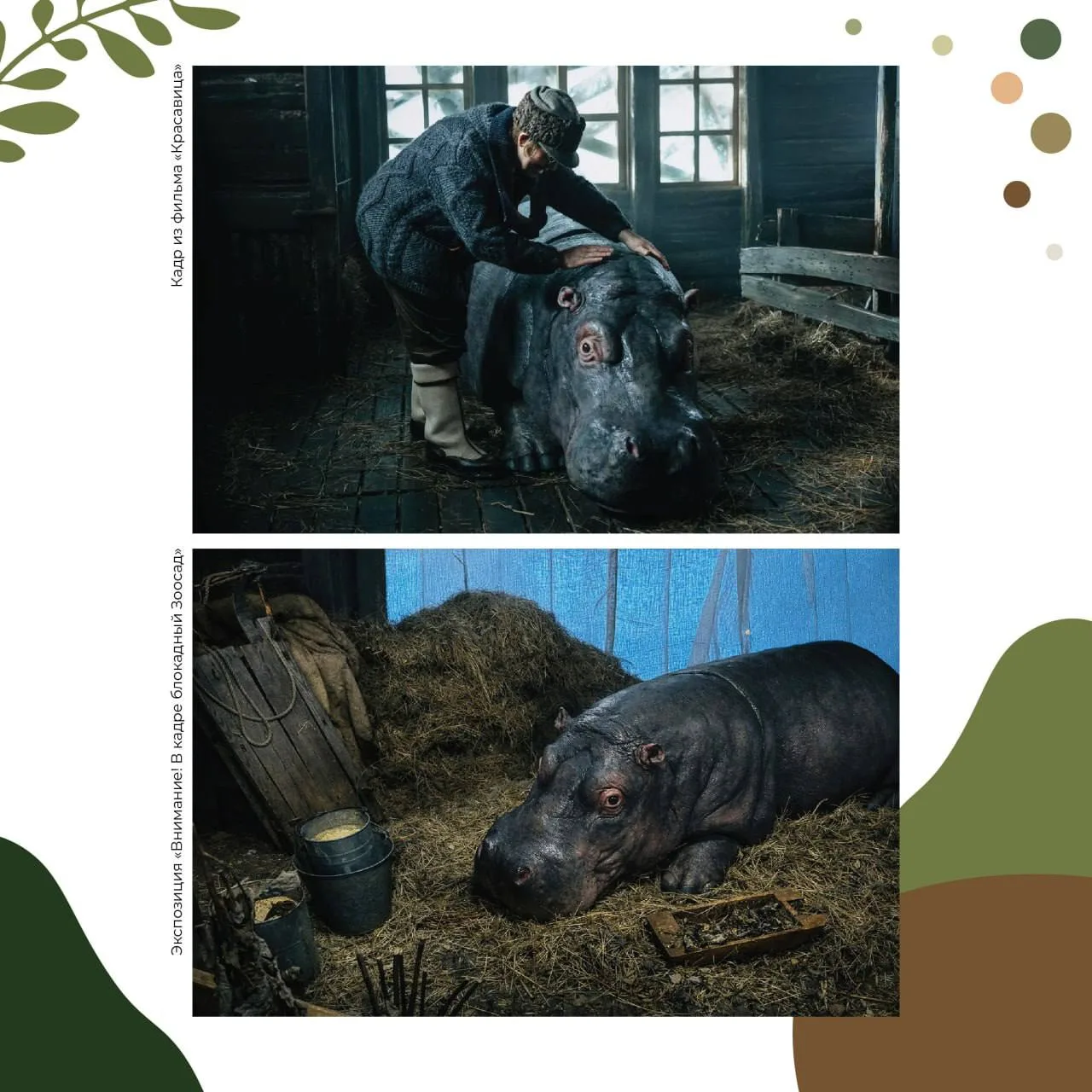 Это реальные декорации из фильма «Красавица»?🎞🦛  Отвечаем: «Да, и это легко проверить!».  🎬На выстав