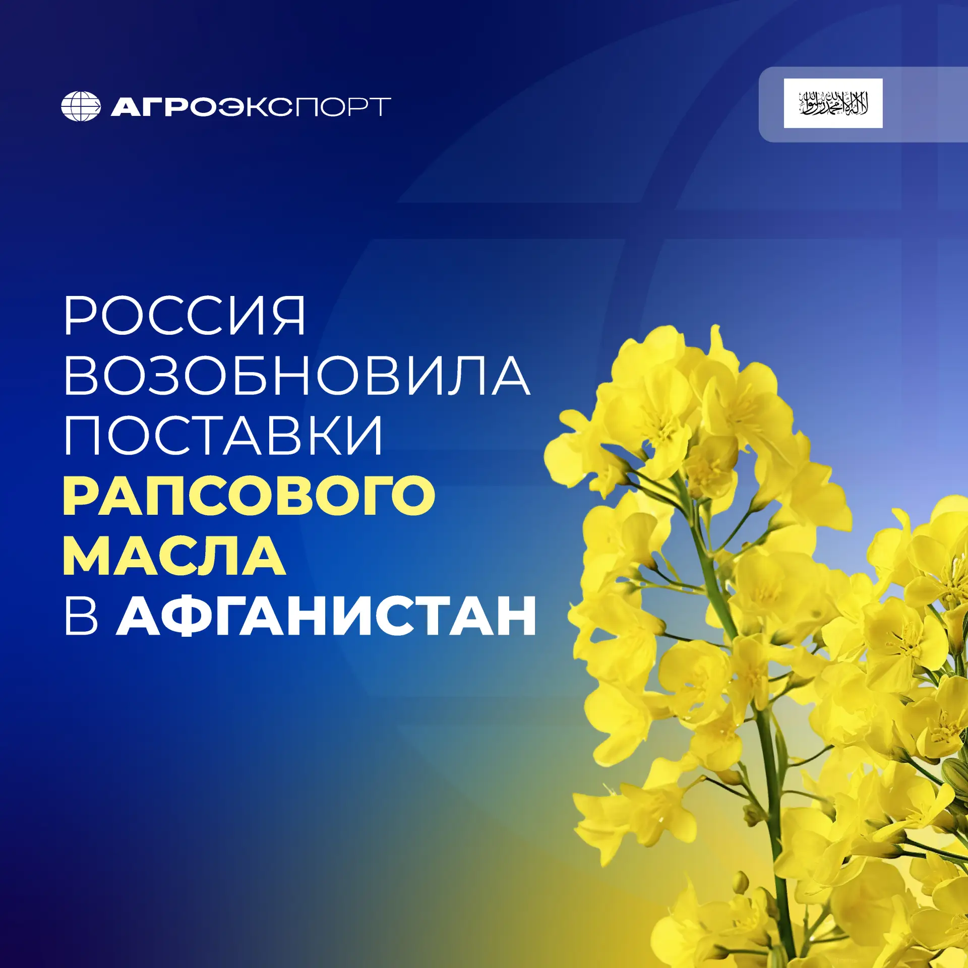 Россия возобновила поставки рапсового масла в Афганистан

Согласно оценкам экспертов, за январь-май 