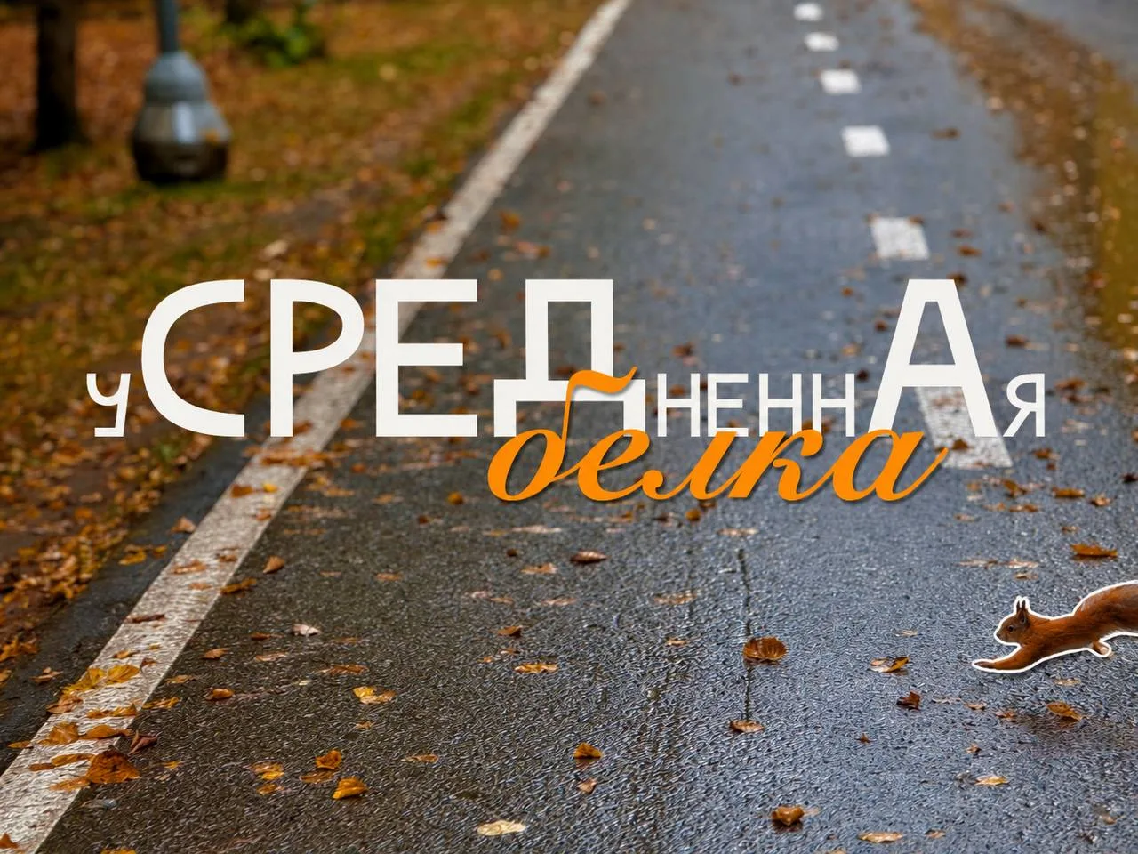 Среда пришла — неделя прошла! 👀