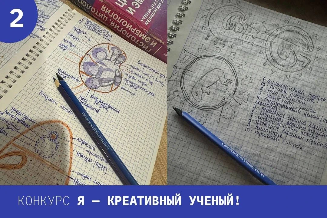 🗳На старт, внимание, голосуем!