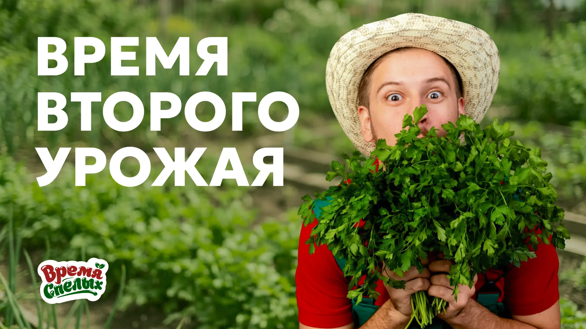 Грядка не должна пустовать: что посеять после раннего урожая 🌱

Первая зелень и редис уже на столе,