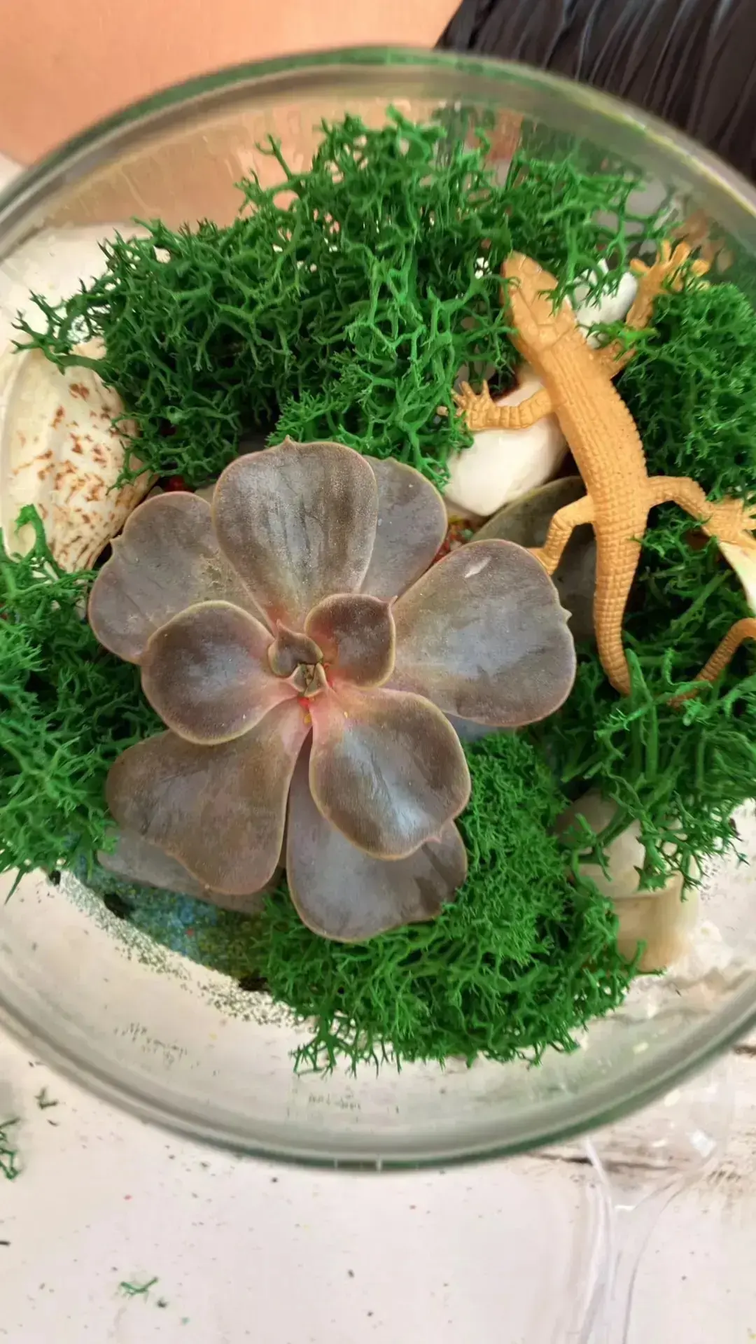 Создаем свои экосистемы 🌿  Может ли целый мир поместиться в стеклянной емкости? Ученики 3Б класса ре