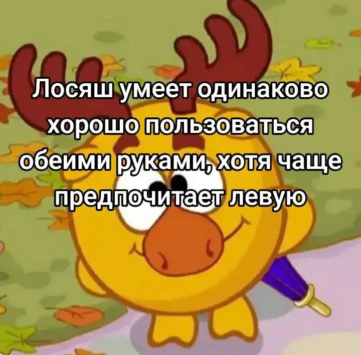 Что выложить в следующий раз?