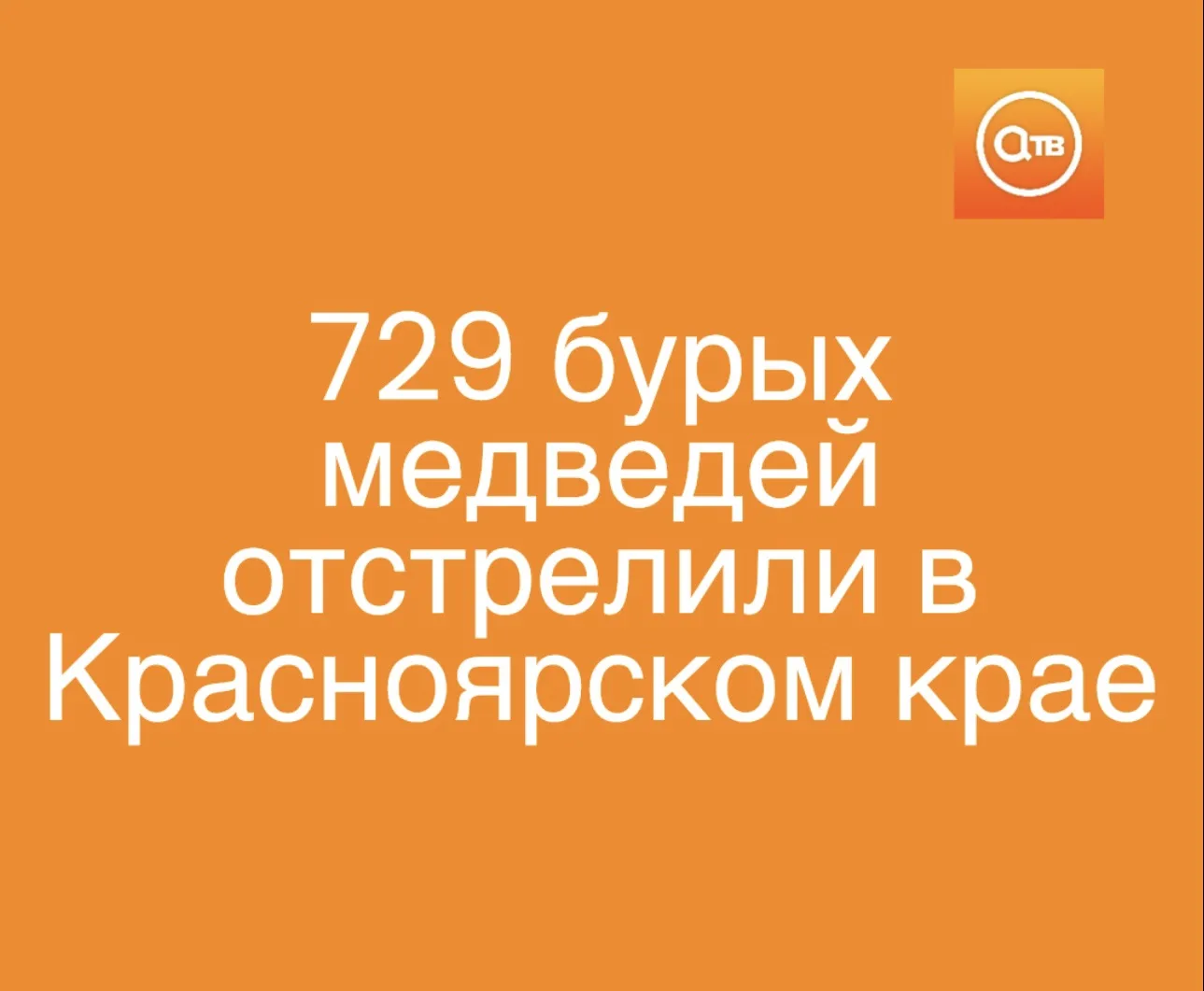 729 медведей отстрелили в Красноярском крае — за последний месяц от хищников погибли се...