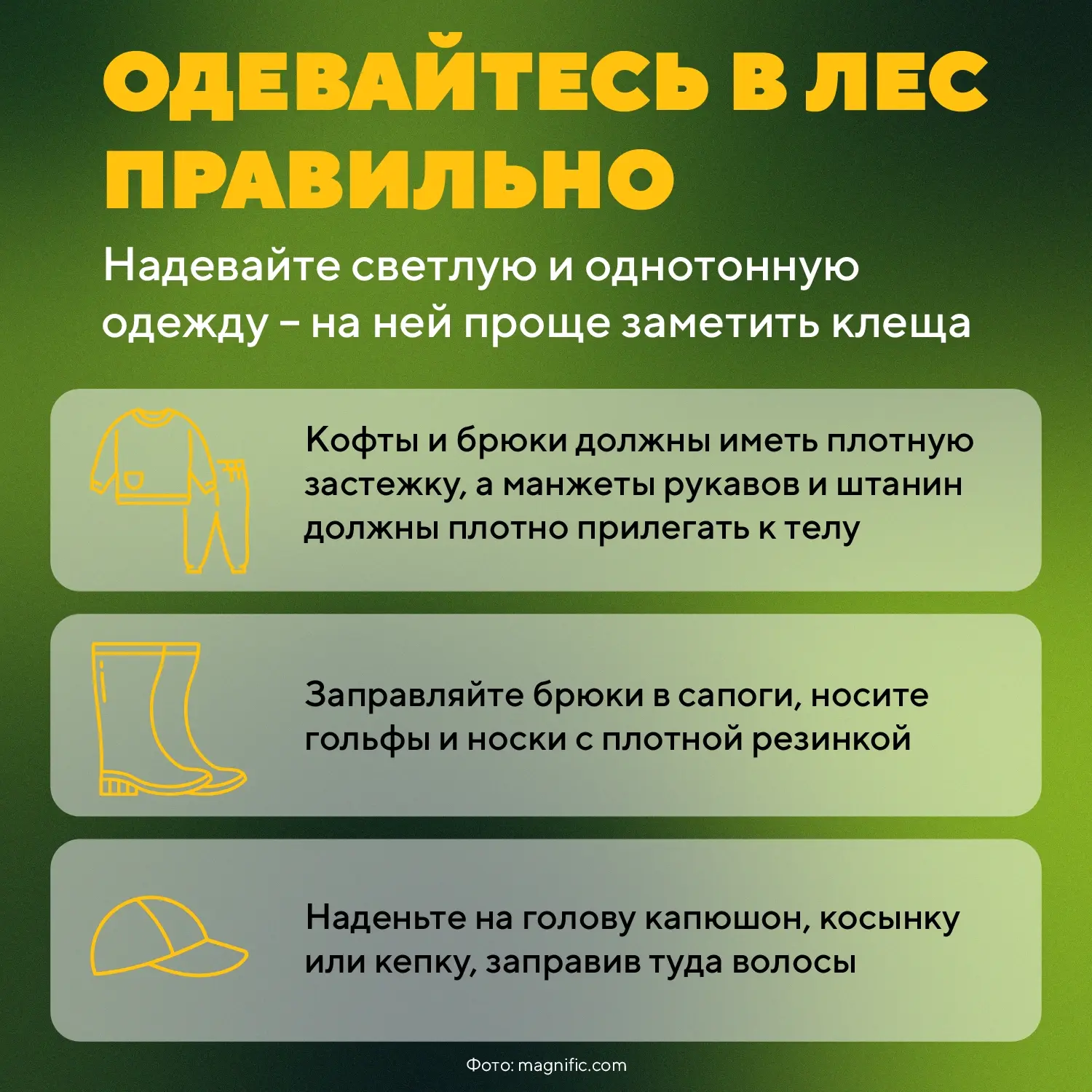 🪲  Укус клеща может вызывать серьезные заболевания, опасные для человека и домашних животных

Первы