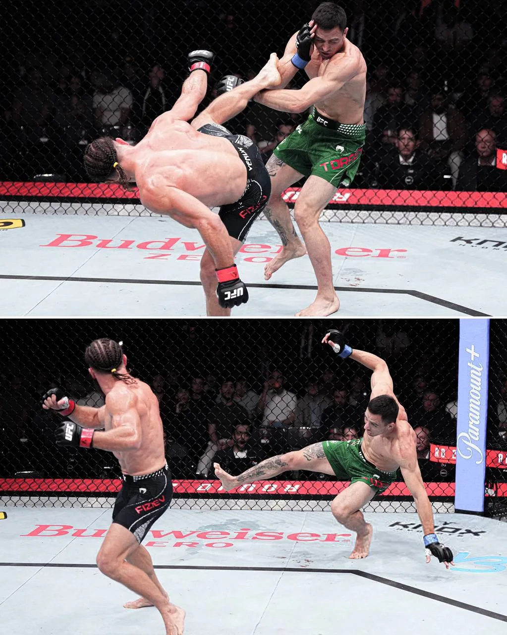 Изображение 1 к публикации «UFC»