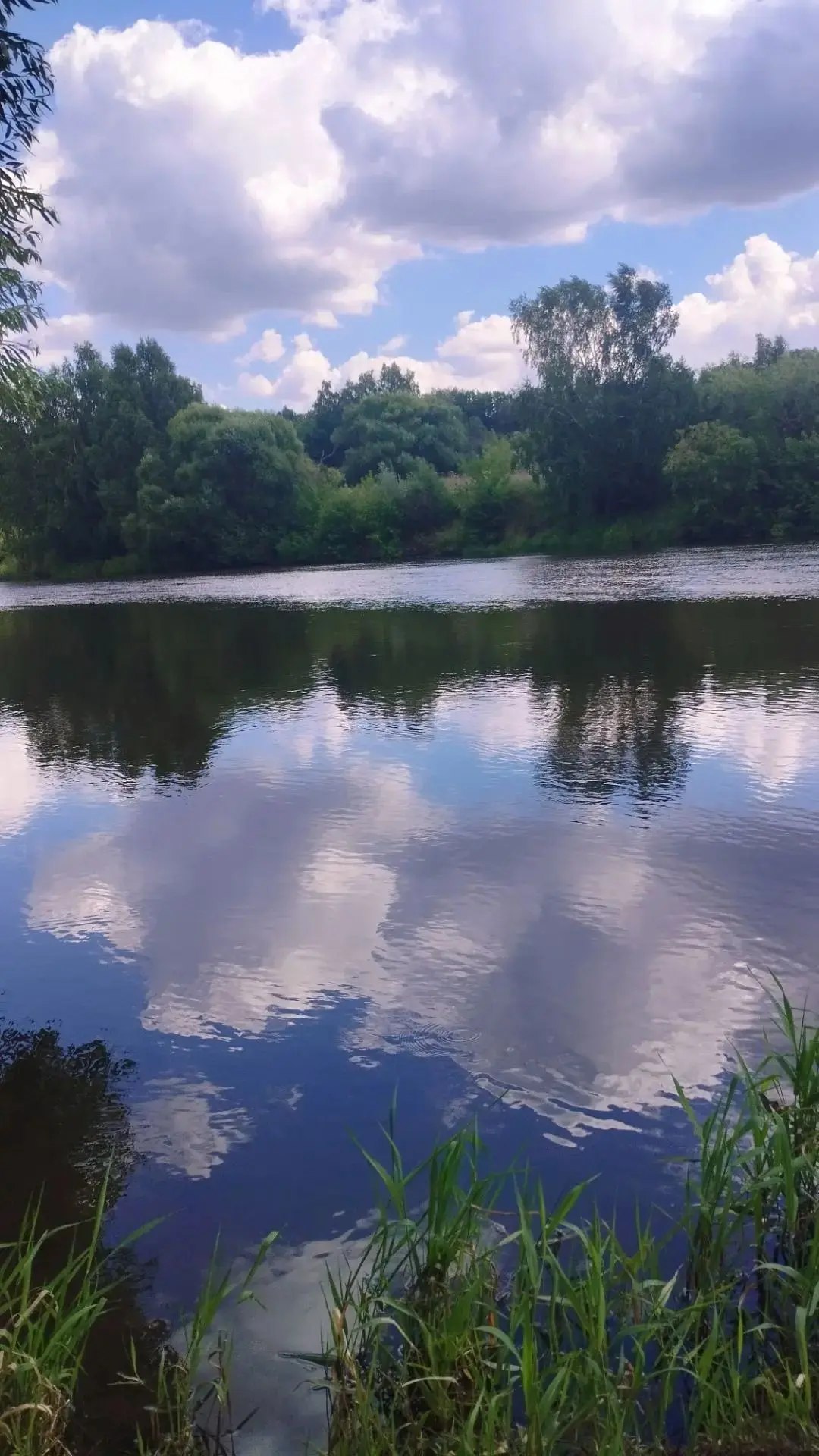 🌼​Август — это золотой час всего лета.