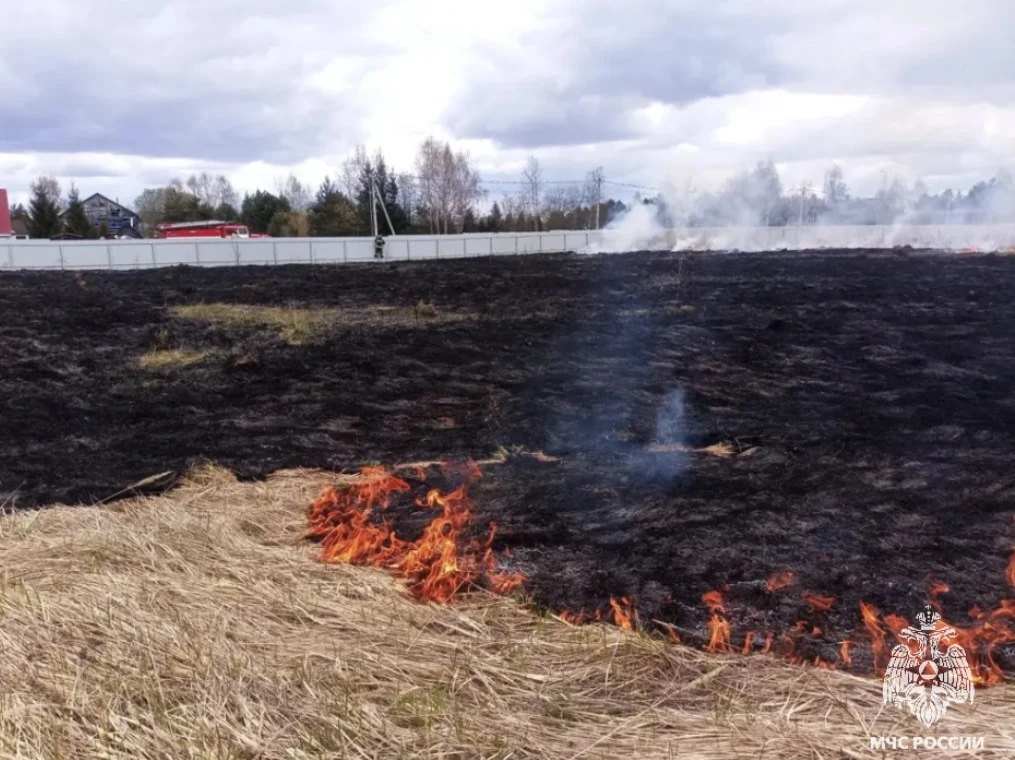 Травяные палы под контролем, но риск сохраняется ❗️