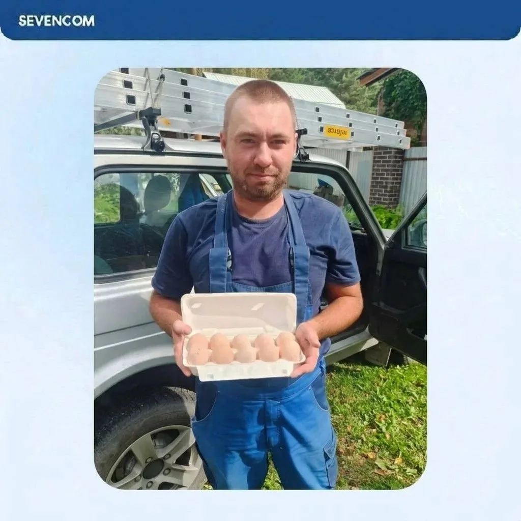 Домашнее яйцо за домашний интернет