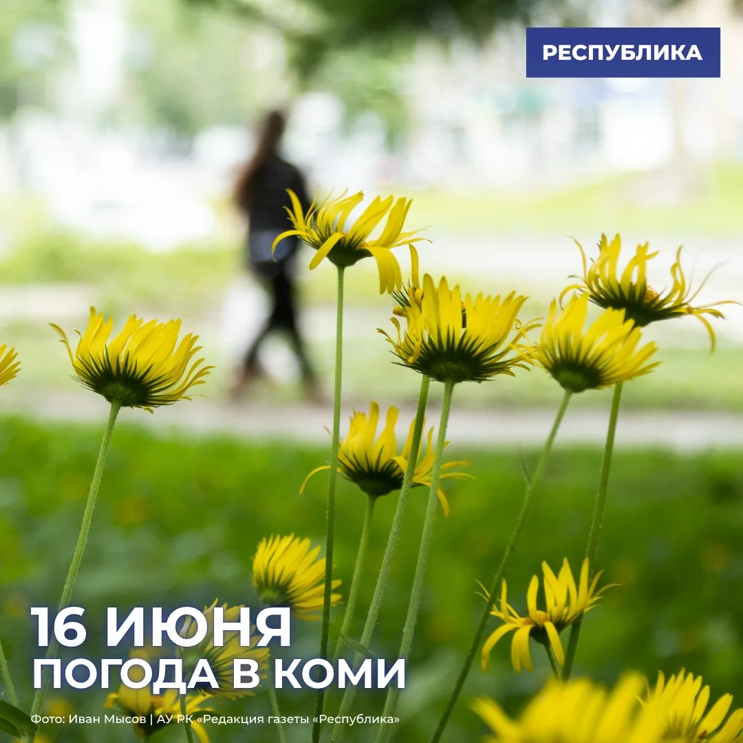 Погода в Коми на 16 июня

Переменная облачность. Ночью кратковременный дождь, местами гроза; днем кр